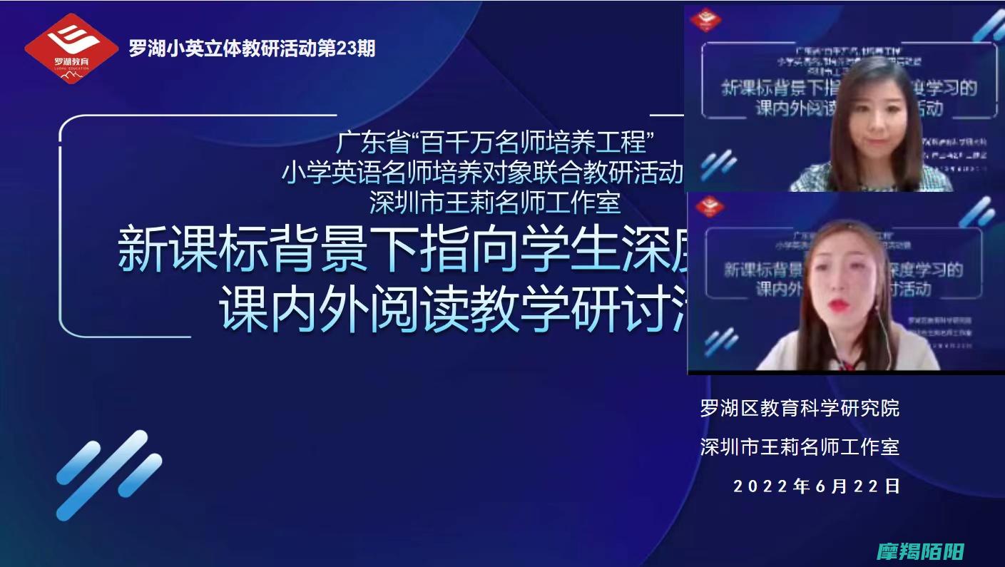 深度解读《王者荣耀》：游戏机制与团队协作艺术 (王salt)