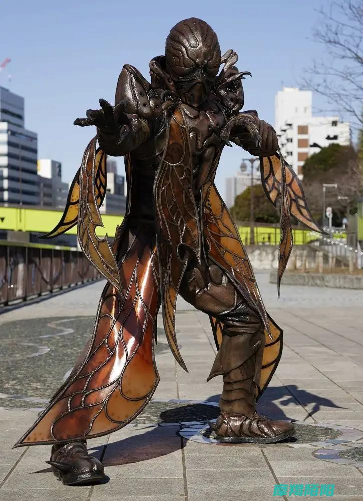 深入解析假面骑士Kabuto中的神秘角色 钟蟀Worm (深入解析假面骑士图片)